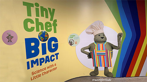 tiny chef cal academy