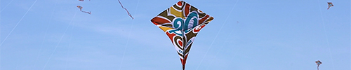 san francisco crissy field kite flying