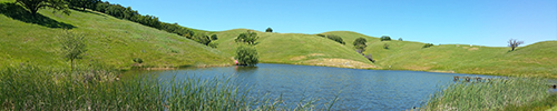 sonoma-county-lake-panorama