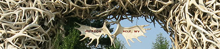 jackson hole antlers