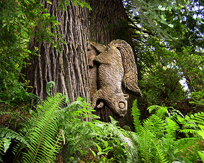 redwood squirrel carving