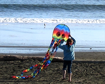 california point reyes fly kites
