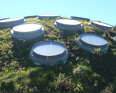 san francisco golden gate park california academy of sciences living roof