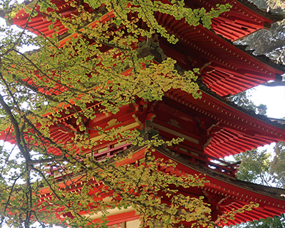 san francisco golden gate park pagoda japanese tea garden