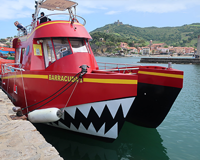 collioure sightseeing boats