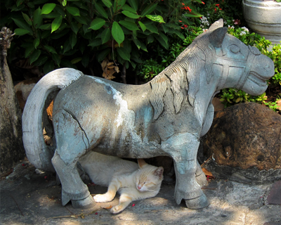 bangkok wat pho temple stone horse