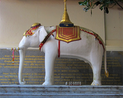 thailand wat doi suthep elephant monument